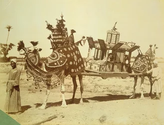 Bruidsdraagstoel, Caïro, Egypte, c.1878